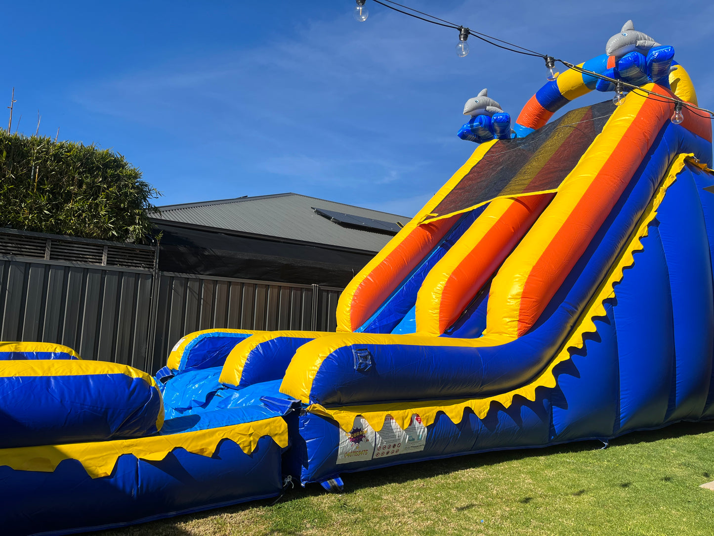 Wet/Dry Dolphin Waterslide Slide